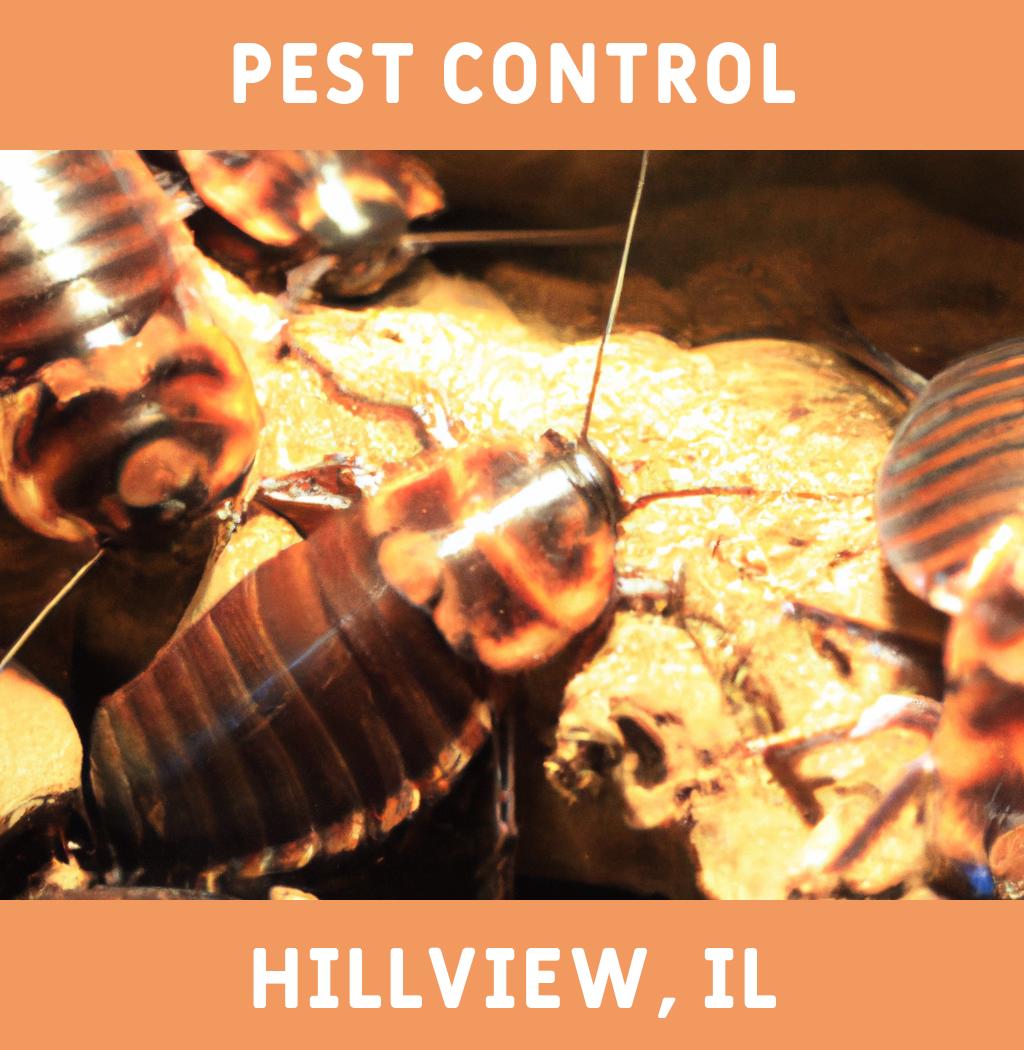 pest control in Hillview Illinois