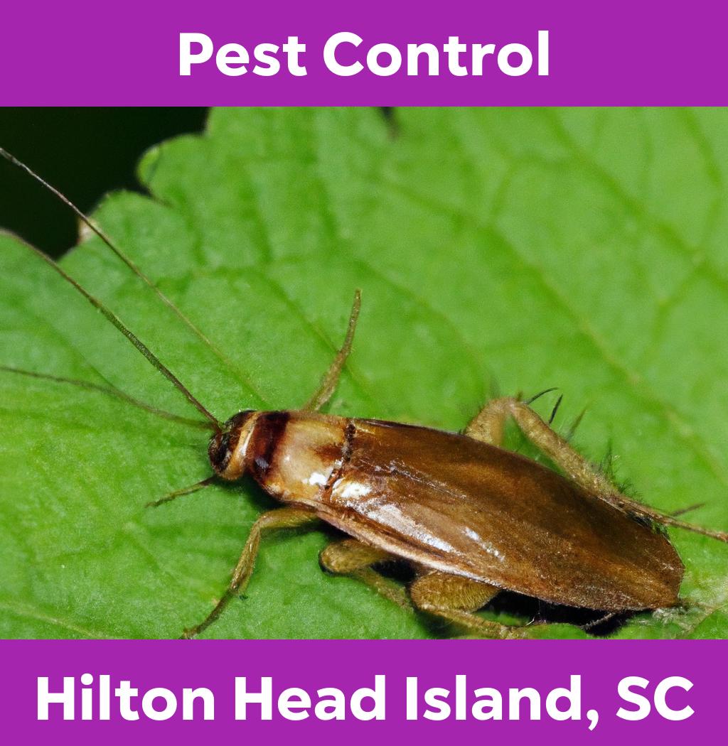 pest control in Hilton Head Island South Carolina