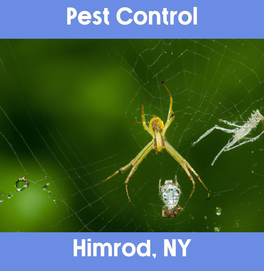 pest control in Himrod New York