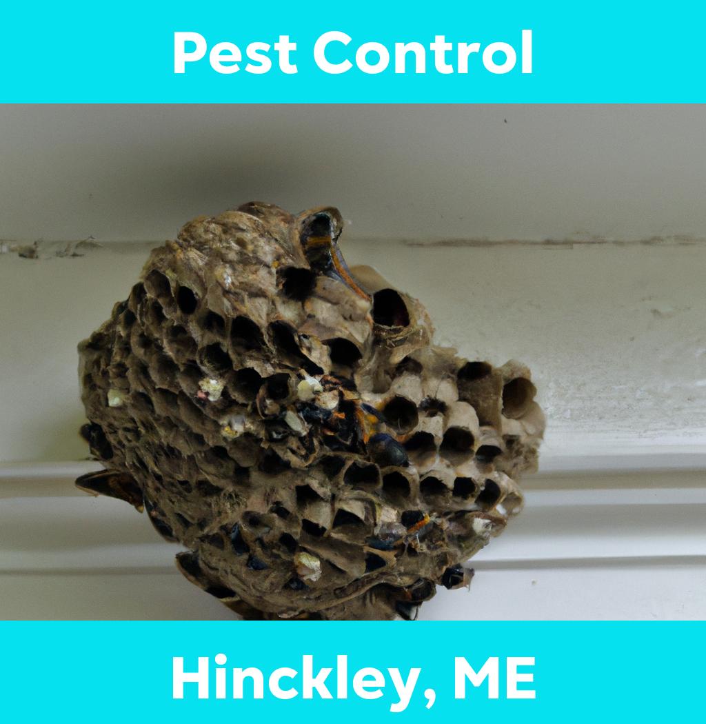 pest control in Hinckley Maine