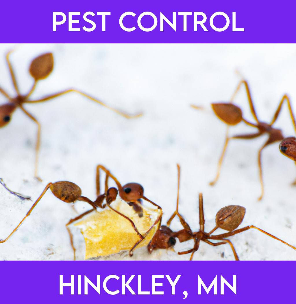 pest control in Hinckley Minnesota