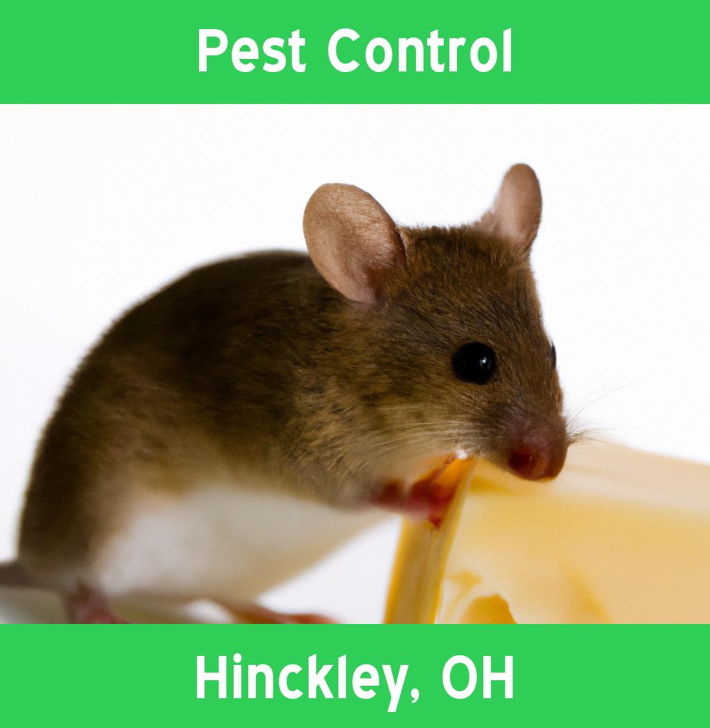 pest control in Hinckley Ohio
