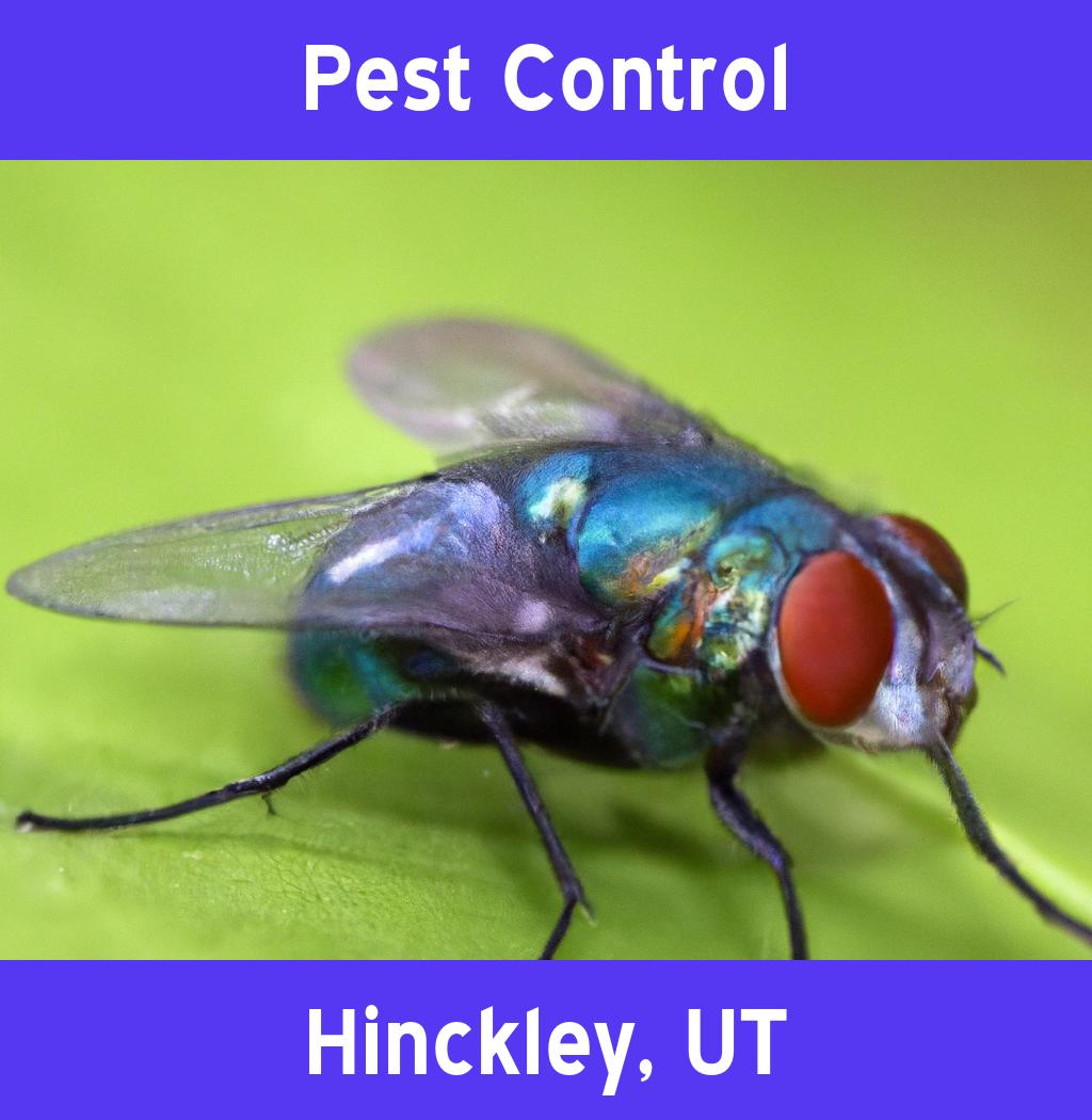 pest control in Hinckley Utah