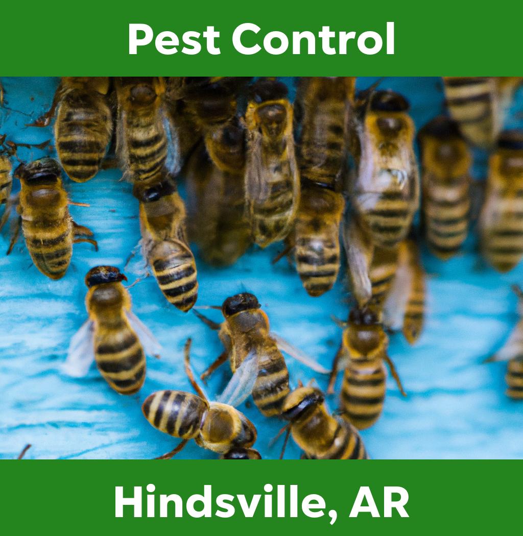pest control in Hindsville Arkansas