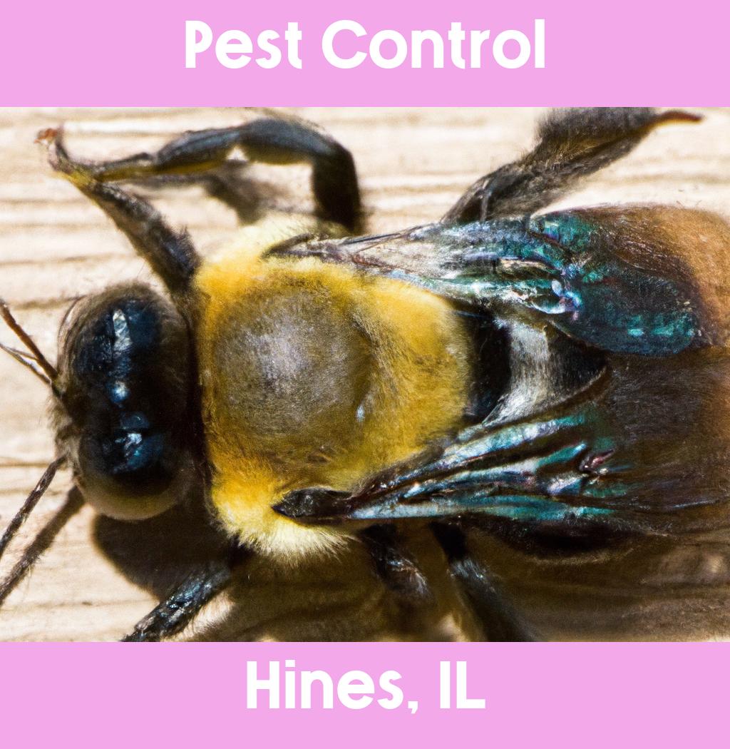 pest control in Hines Illinois