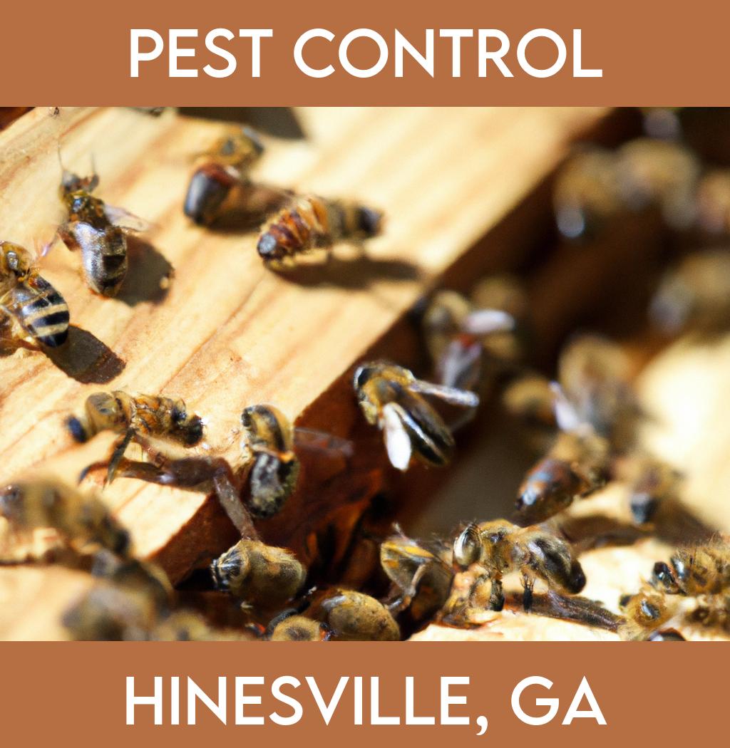pest control in Hinesville Georgia