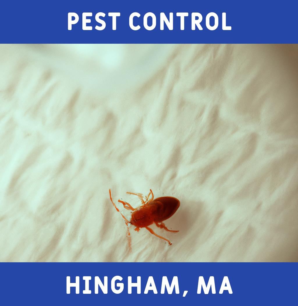 pest control in Hingham Massachusetts