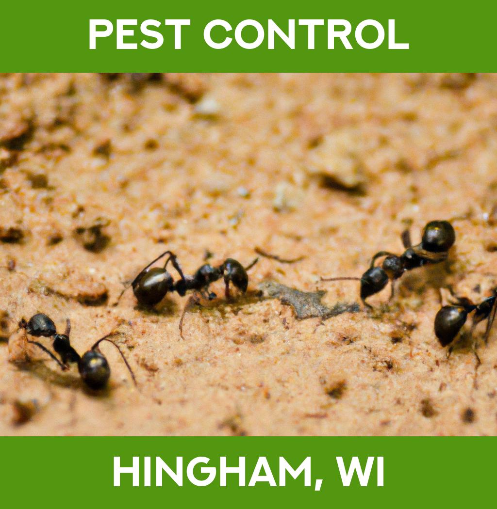 pest control in Hingham Wisconsin