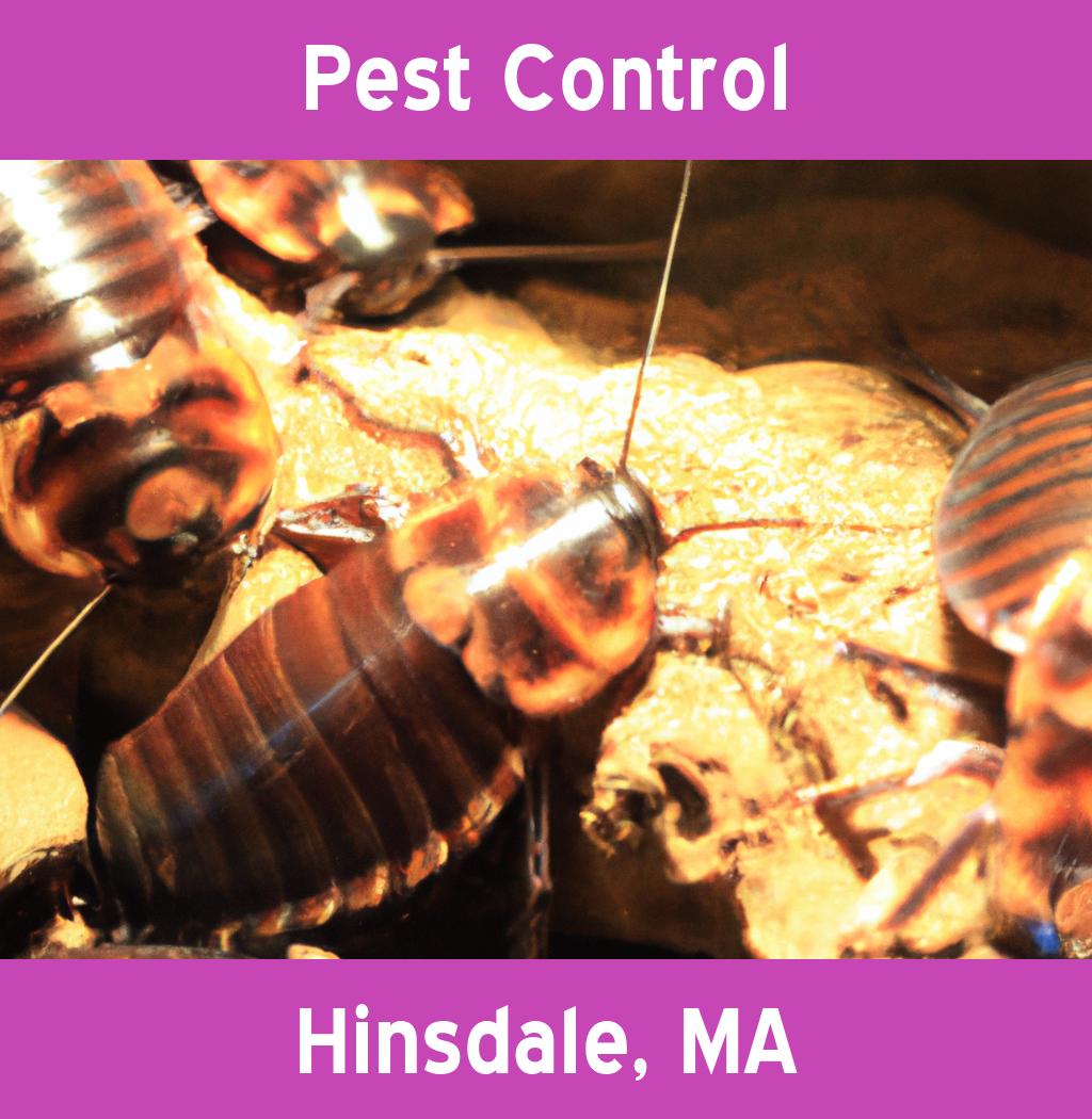 pest control in Hinsdale Massachusetts