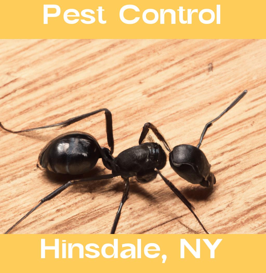 pest control in Hinsdale New York