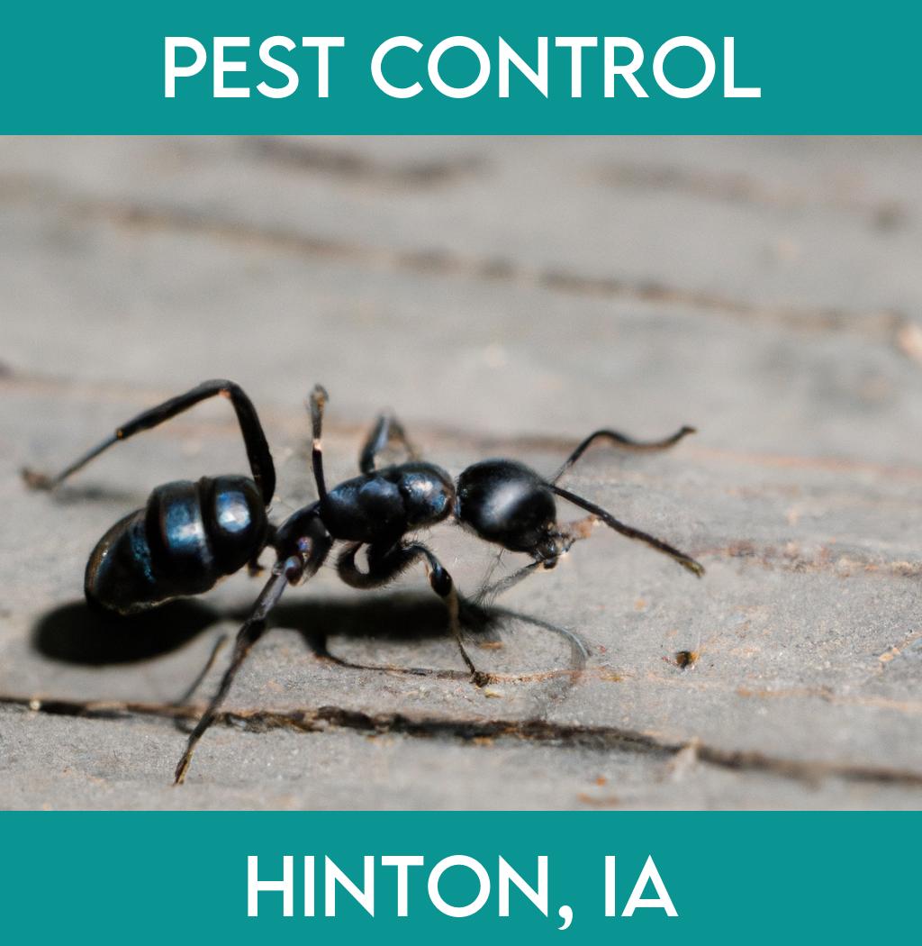 pest control in Hinton Iowa