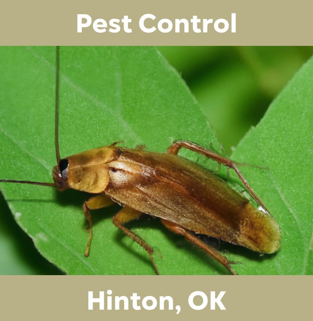 pest control in Hinton Oklahoma