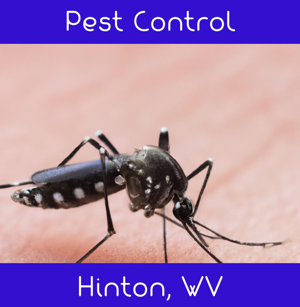 pest control in Hinton West Virginia