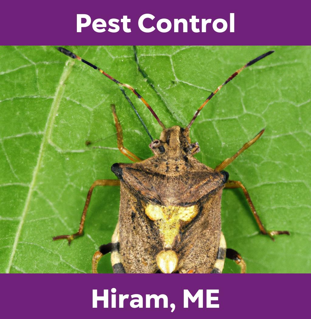 pest control in Hiram Maine