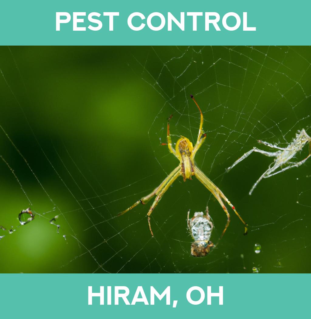 pest control in Hiram Ohio