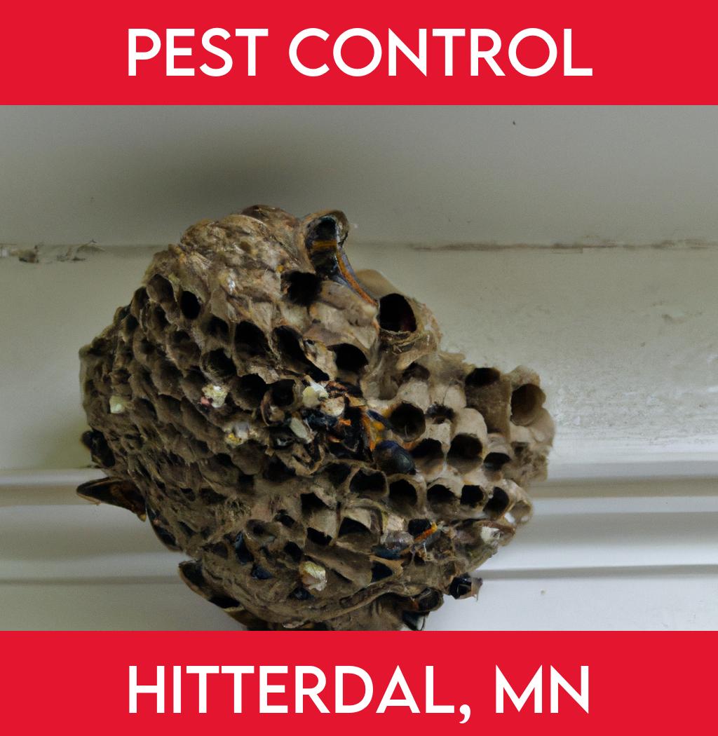 pest control in Hitterdal Minnesota