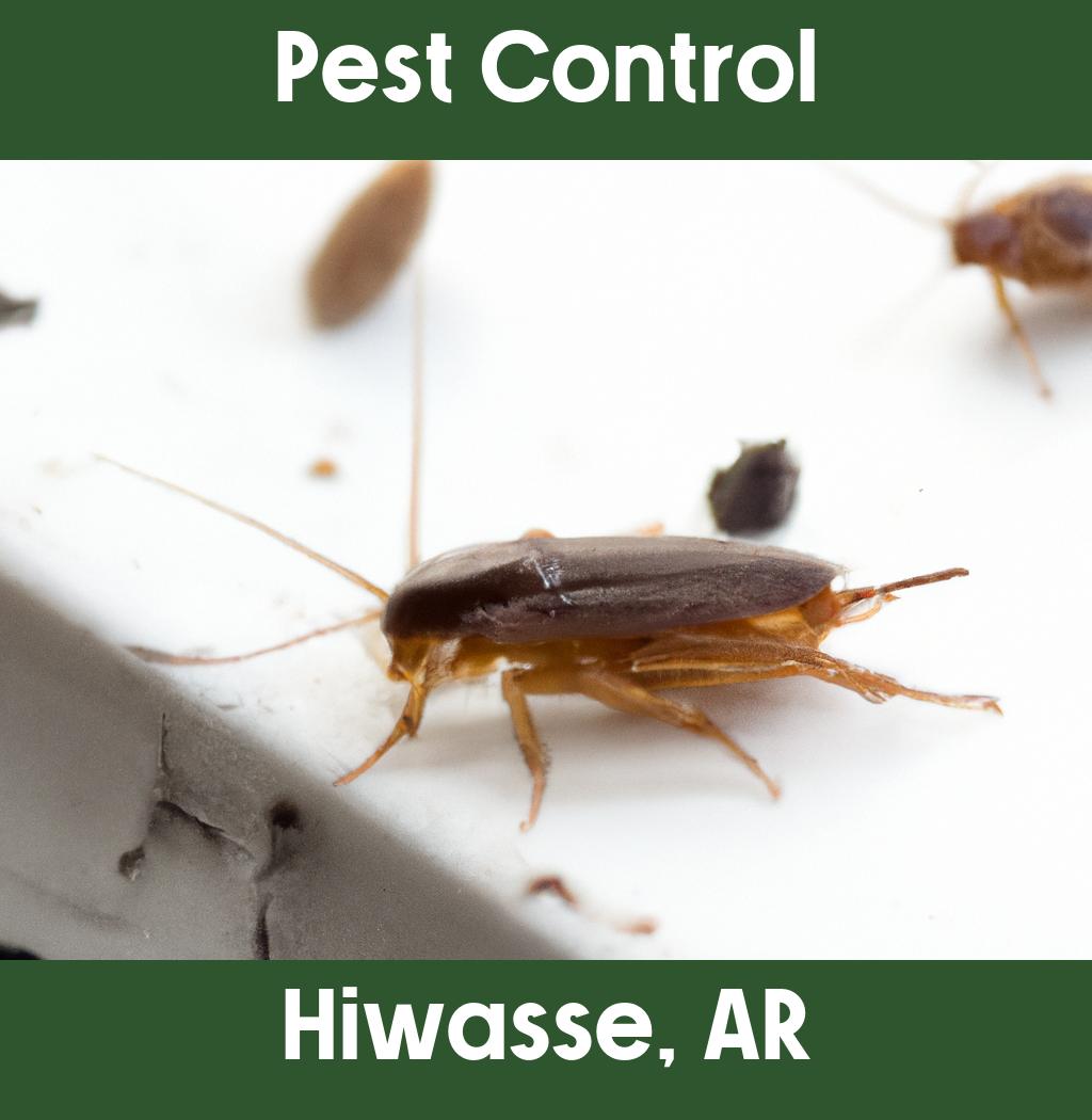 pest control in Hiwasse Arkansas