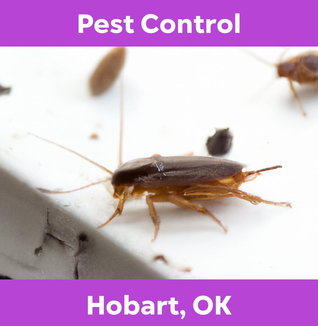 pest control in Hobart Oklahoma