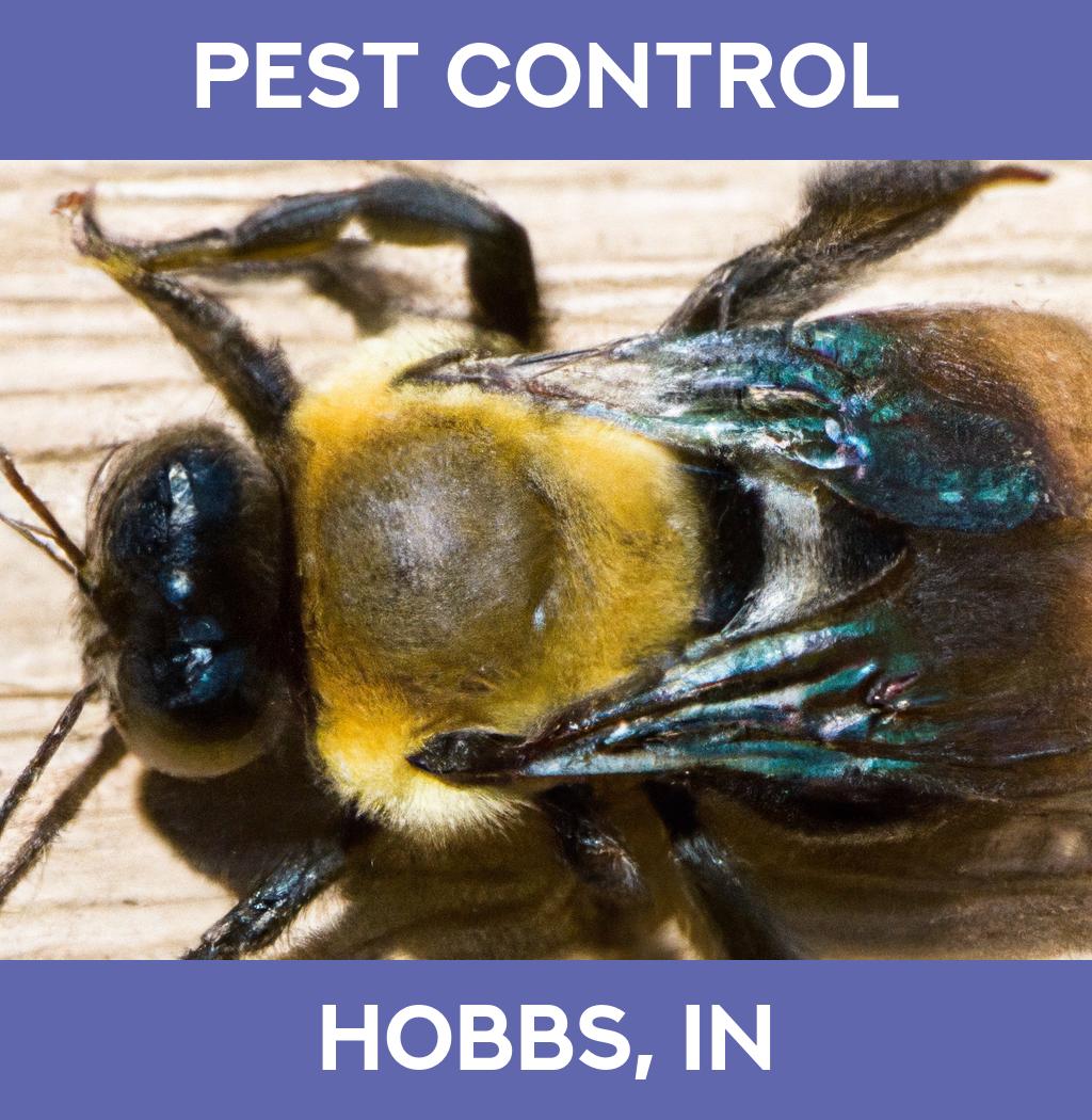 pest control in Hobbs Indiana