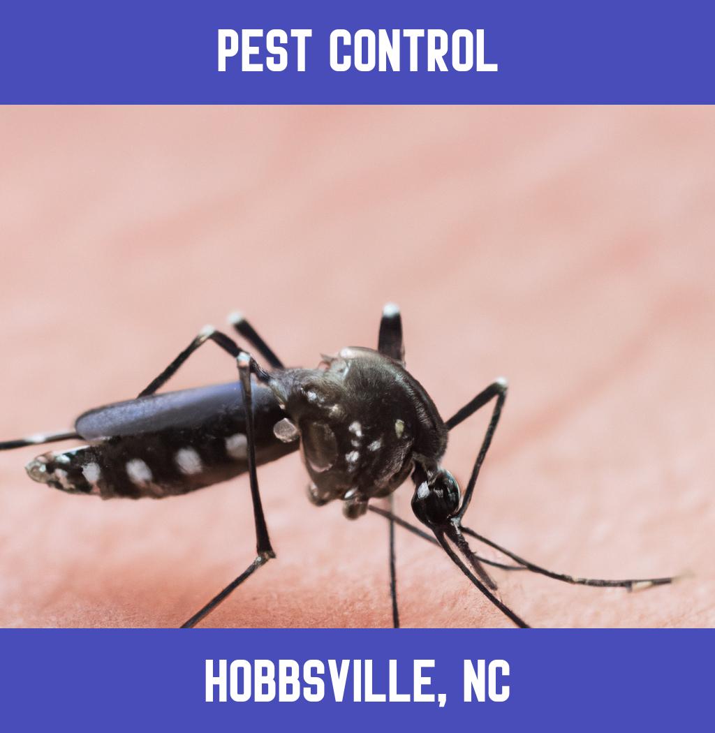 pest control in Hobbsville North Carolina