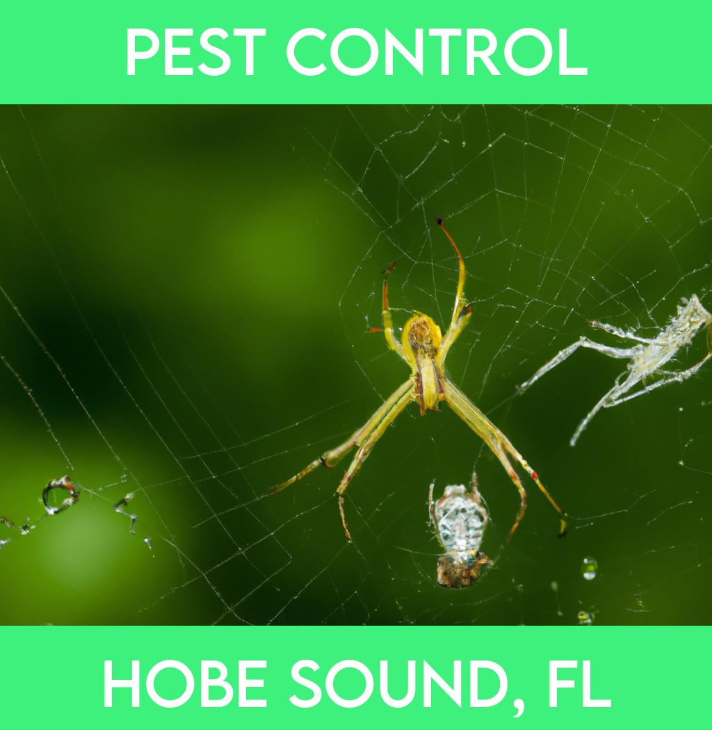 pest control in Hobe Sound Florida