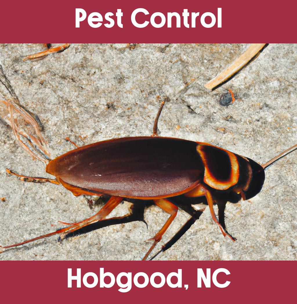 pest control in Hobgood North Carolina