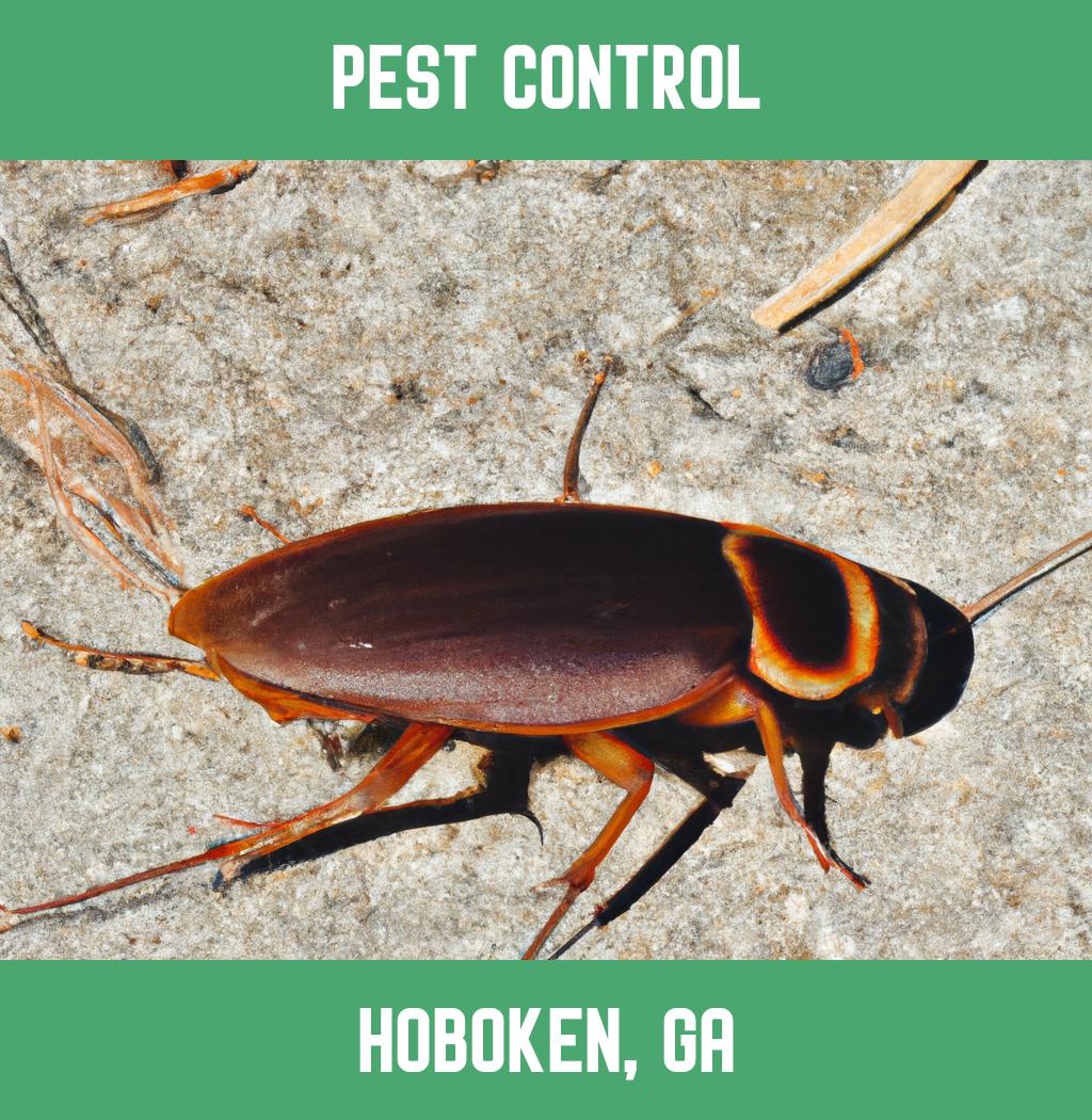 pest control in Hoboken Georgia