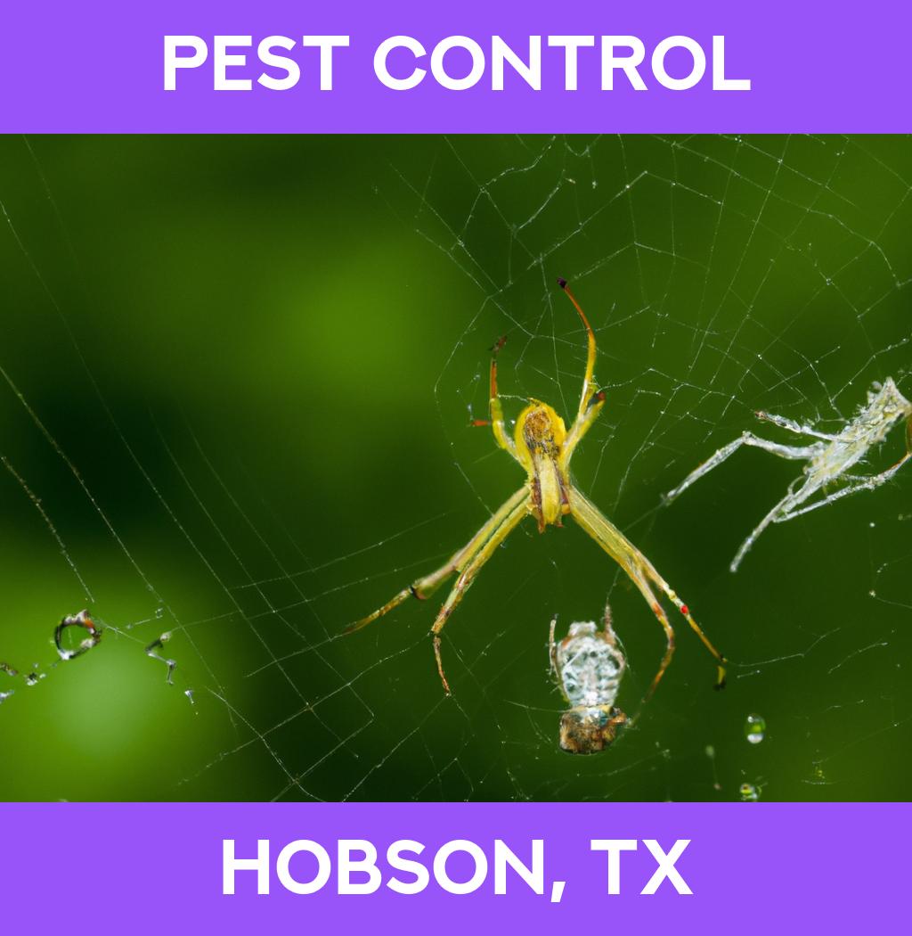 pest control in Hobson Texas