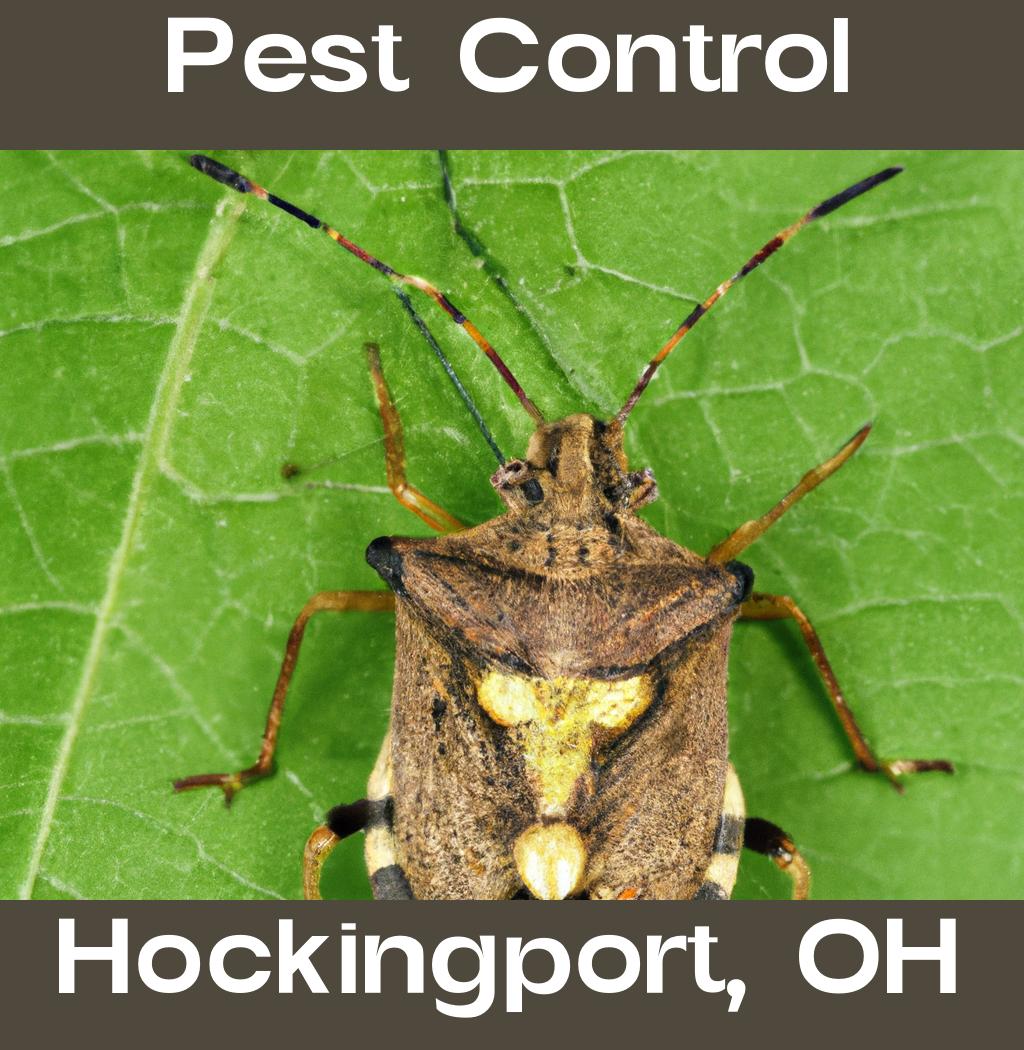 pest control in Hockingport Ohio