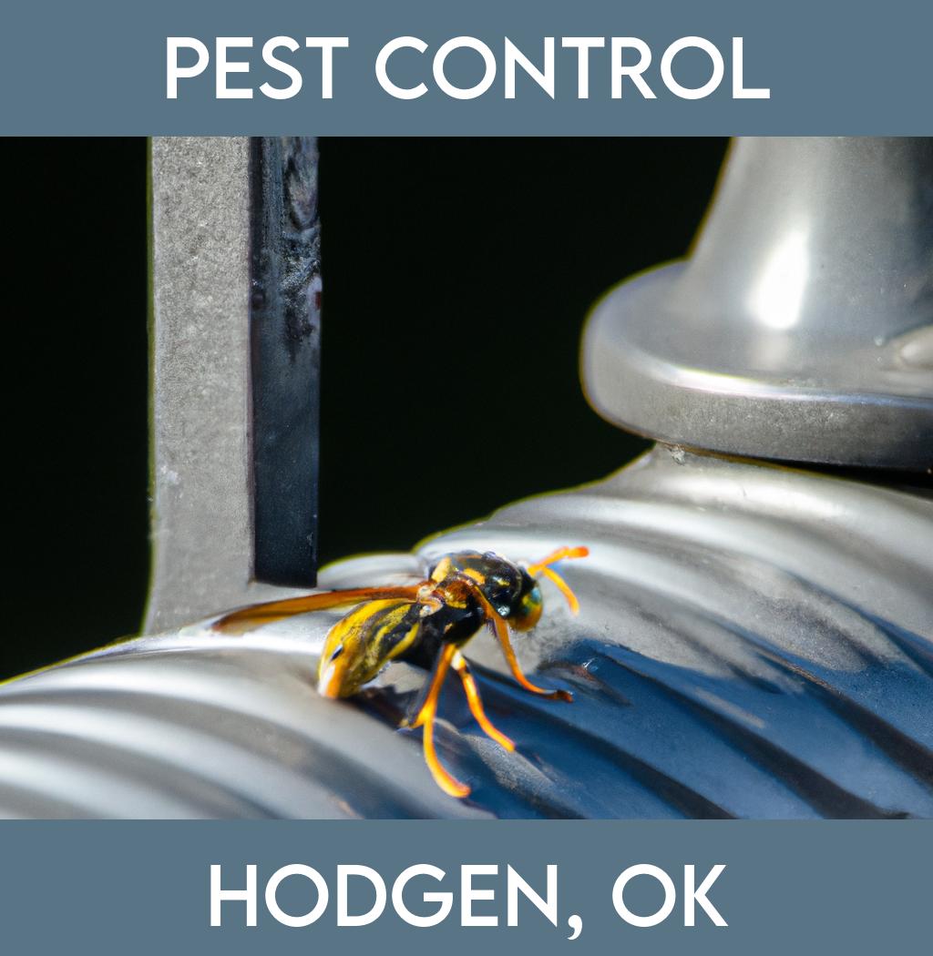 pest control in Hodgen Oklahoma