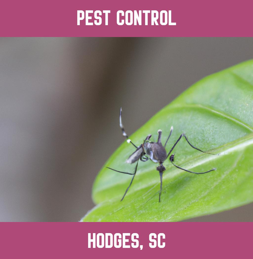 pest control in Hodges South Carolina