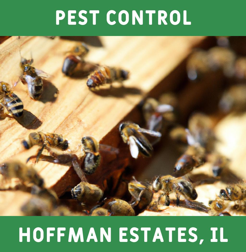 pest control in Hoffman Estates Illinois