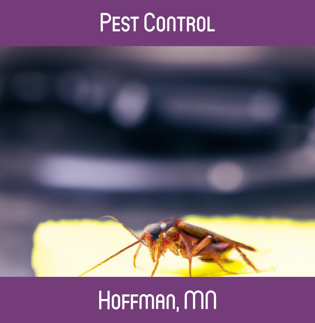pest control in Hoffman Minnesota