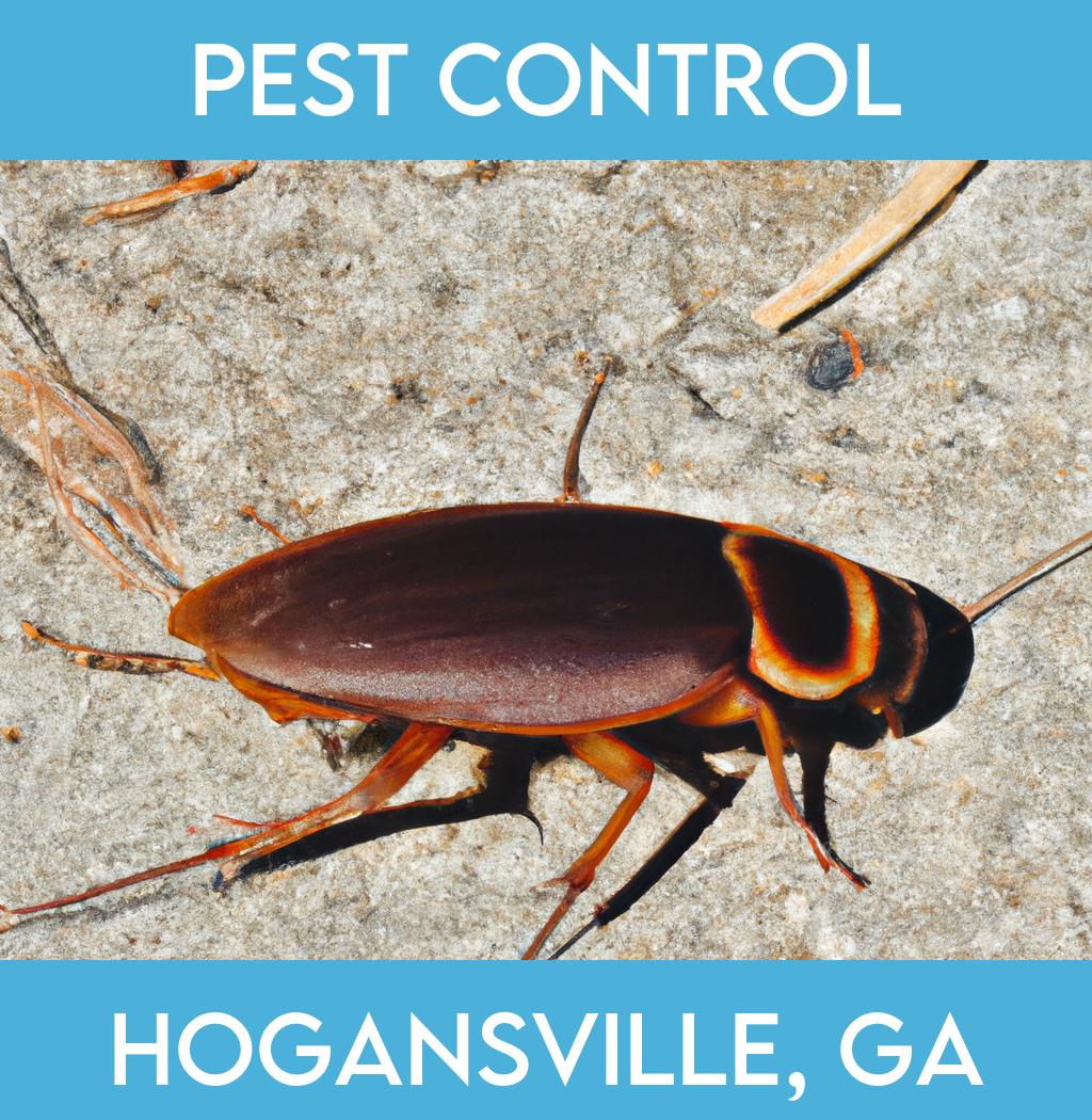 pest control in Hogansville Georgia