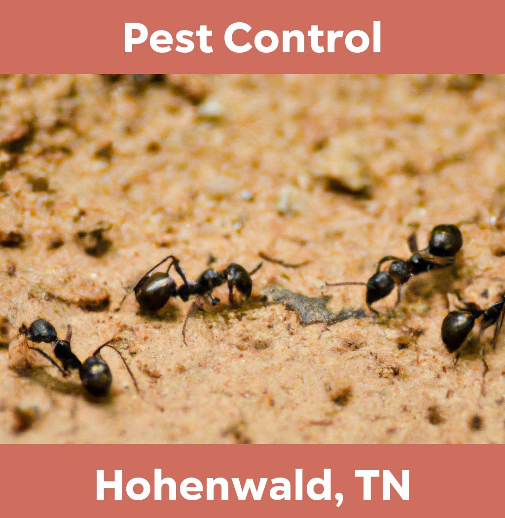 pest control in Hohenwald Tennessee