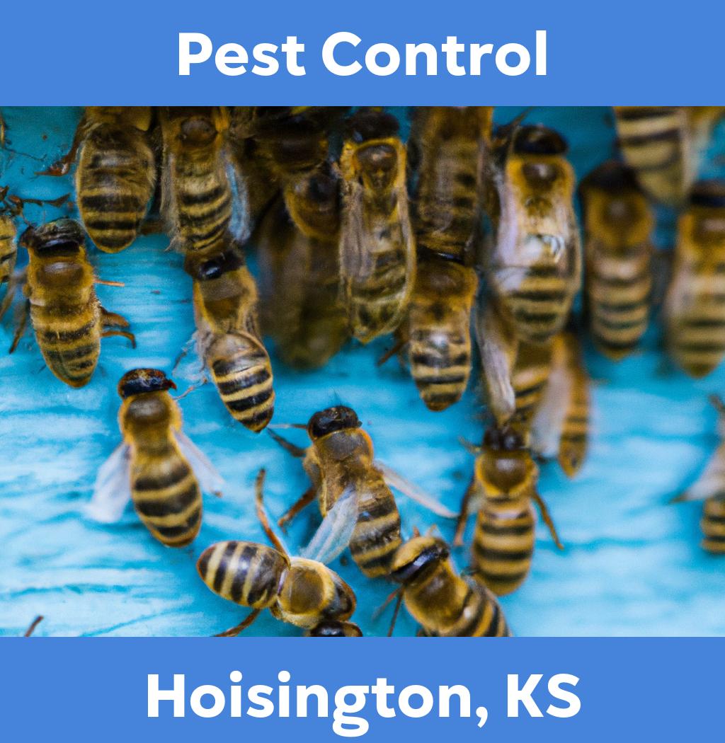 pest control in Hoisington Kansas