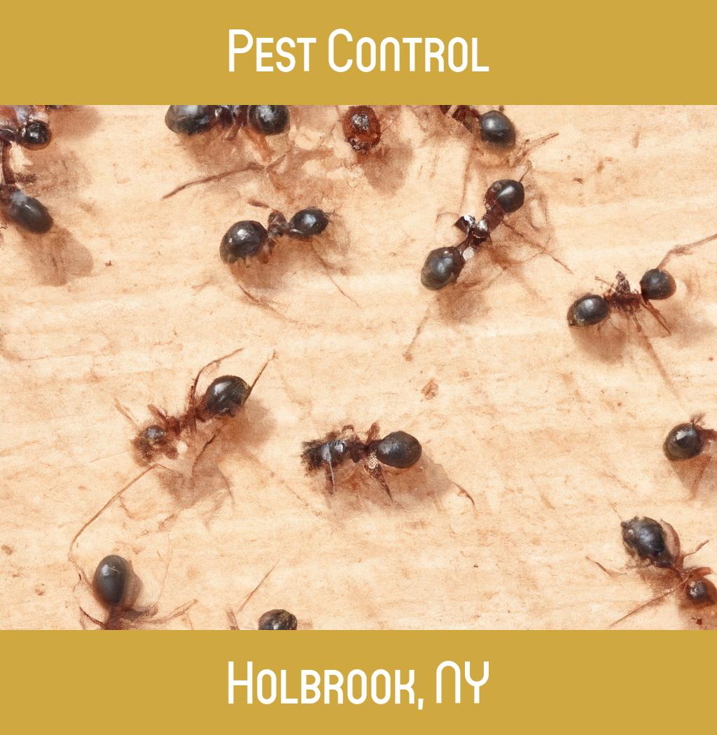 pest control in Holbrook New York