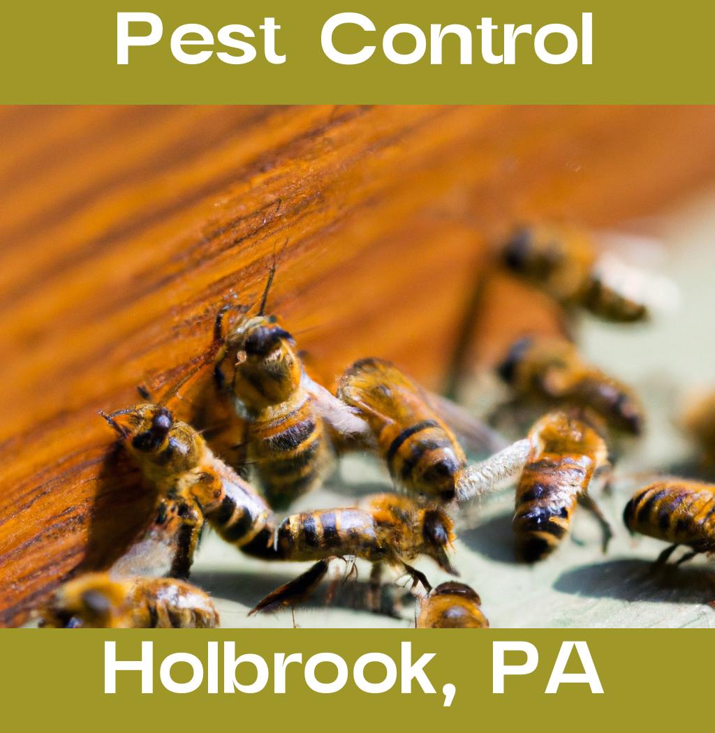 pest control in Holbrook Pennsylvania