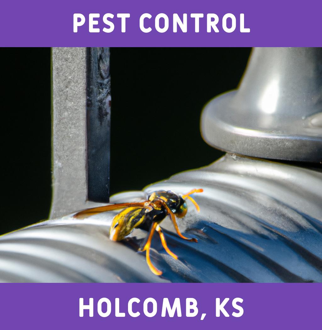 pest control in Holcomb Kansas