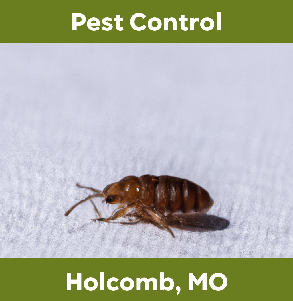pest control in Holcomb Missouri