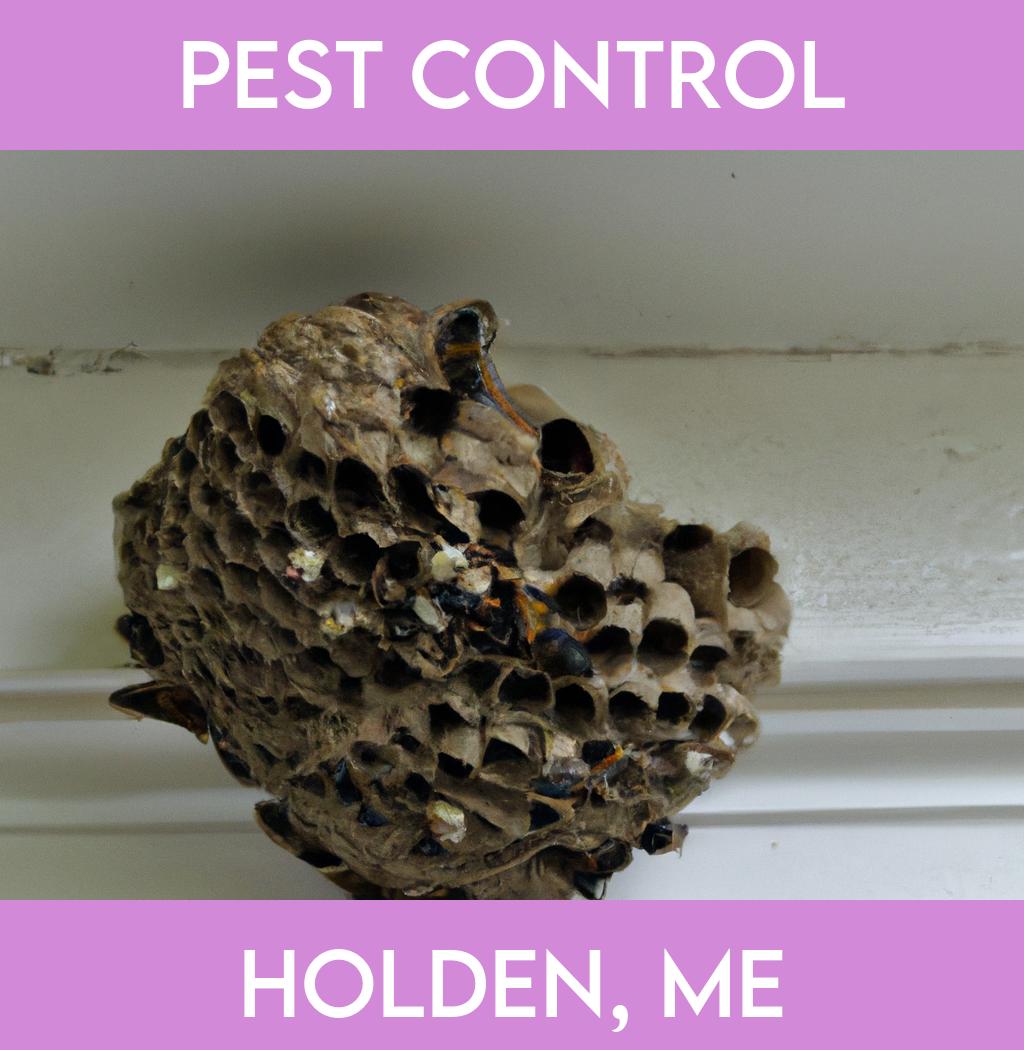 pest control in Holden Maine