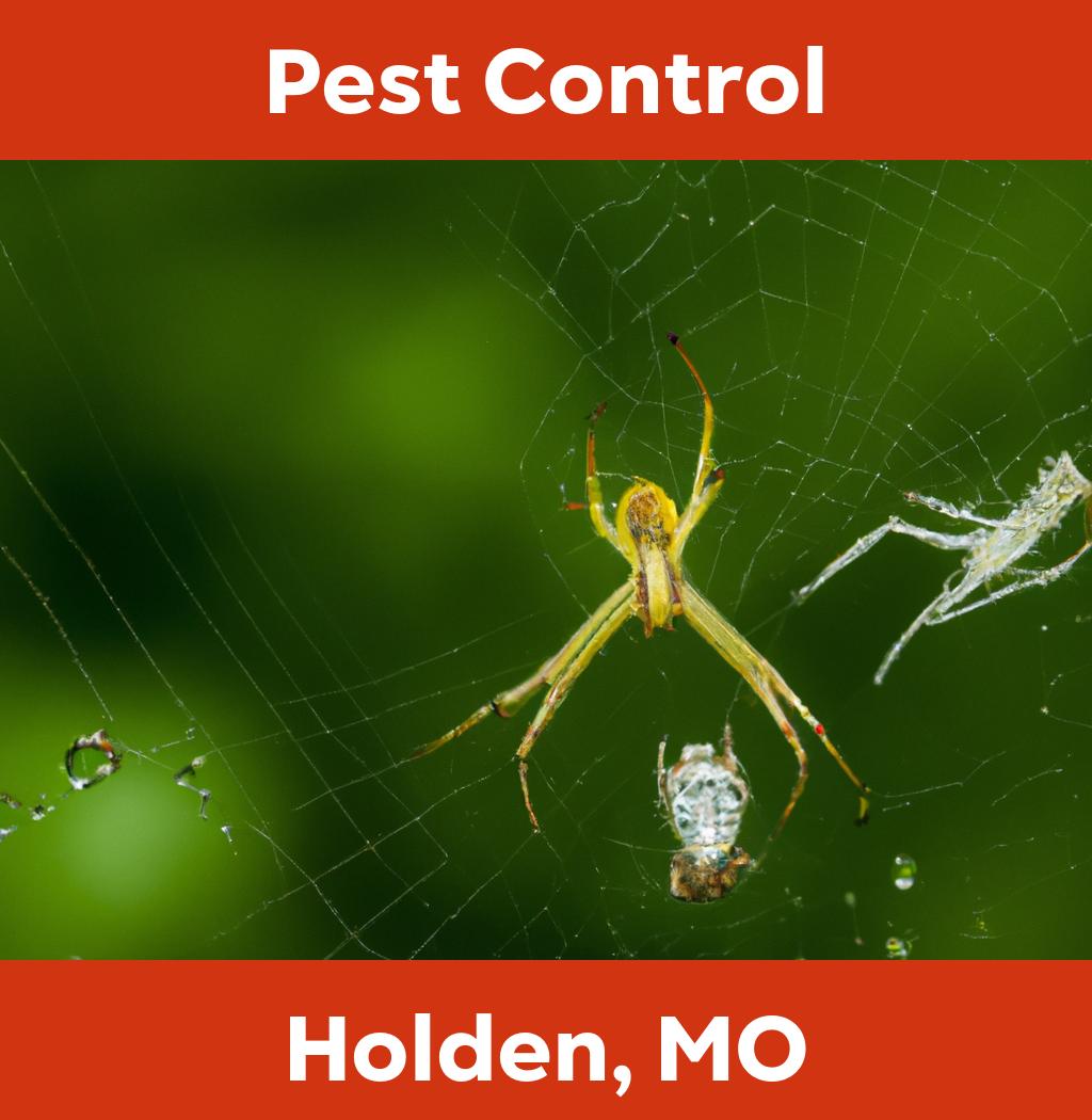 pest control in Holden Missouri