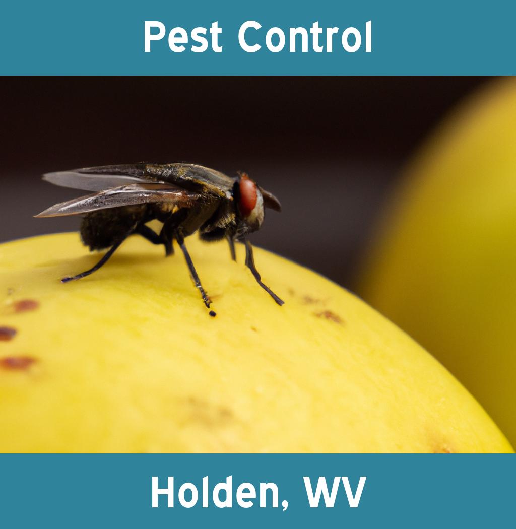 pest control in Holden West Virginia