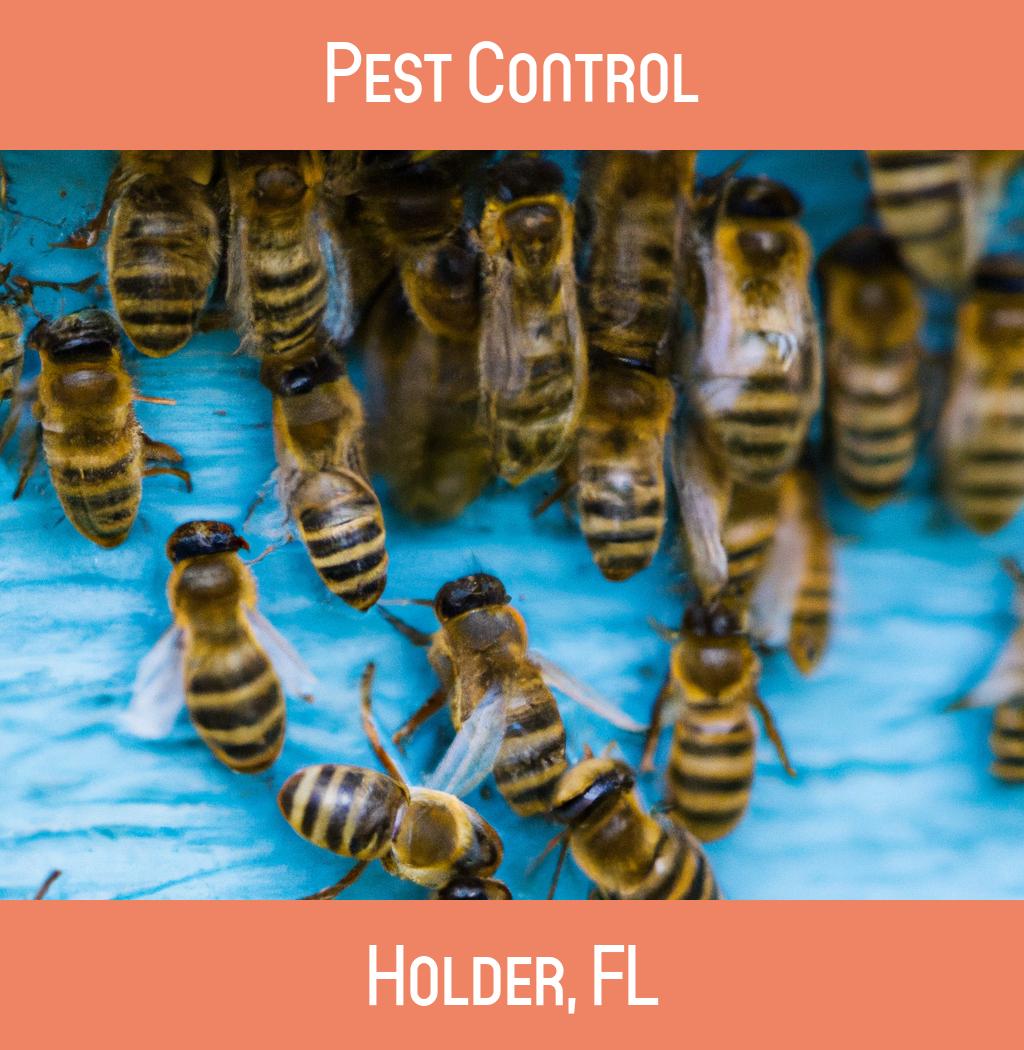 pest control in Holder Florida