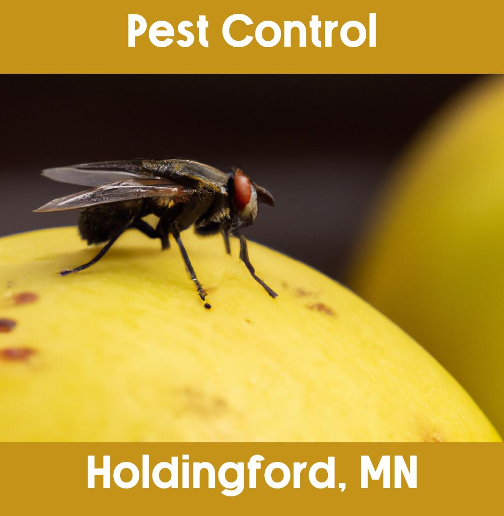 pest control in Holdingford Minnesota