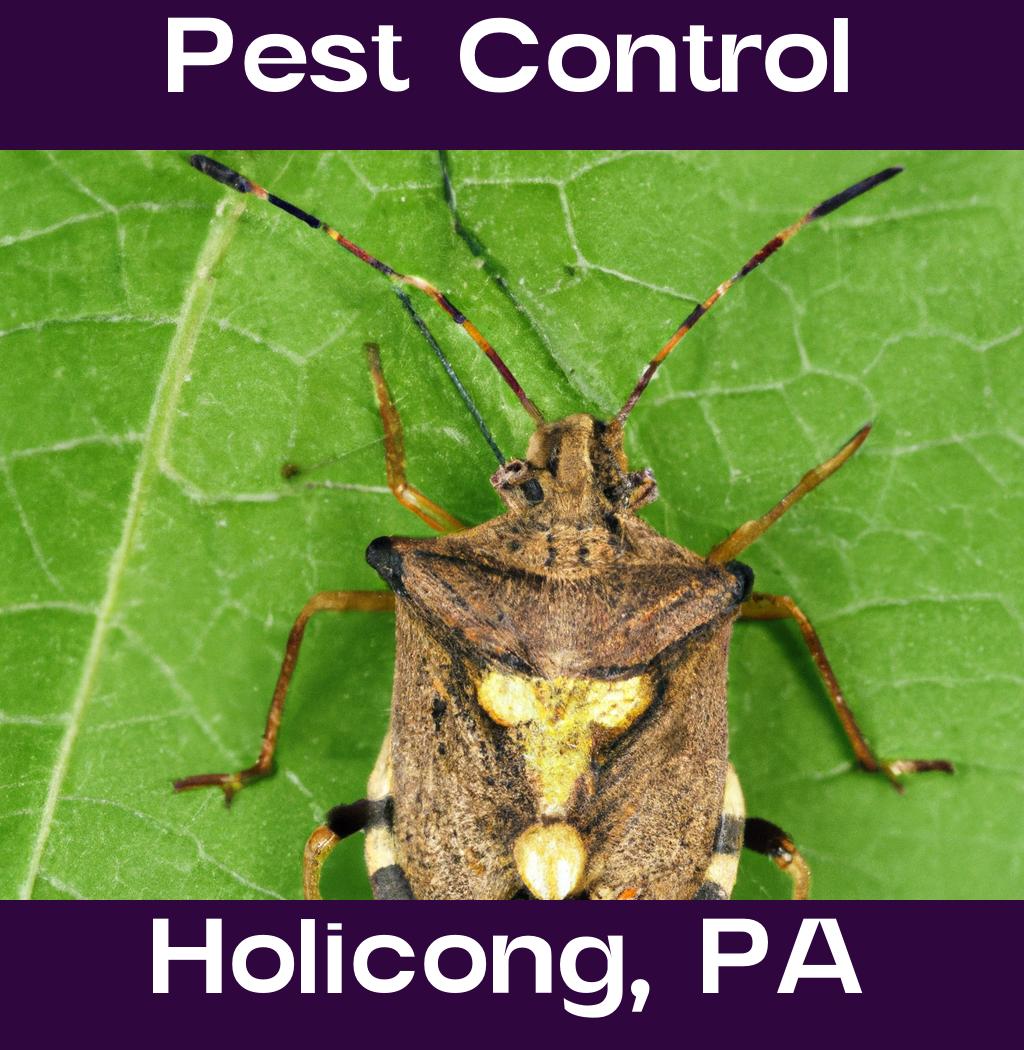 pest control in Holicong Pennsylvania
