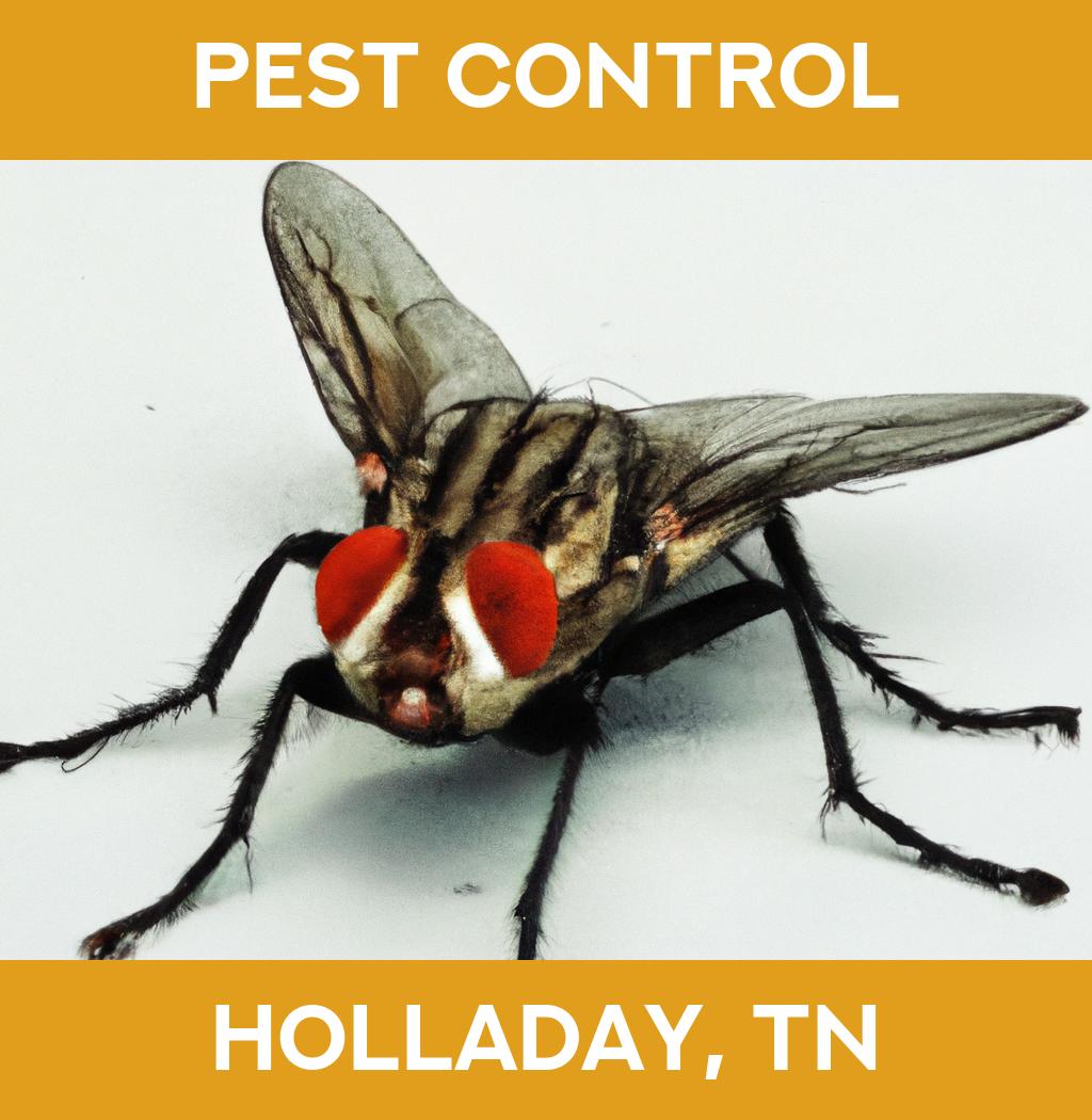 pest control in Holladay Tennessee