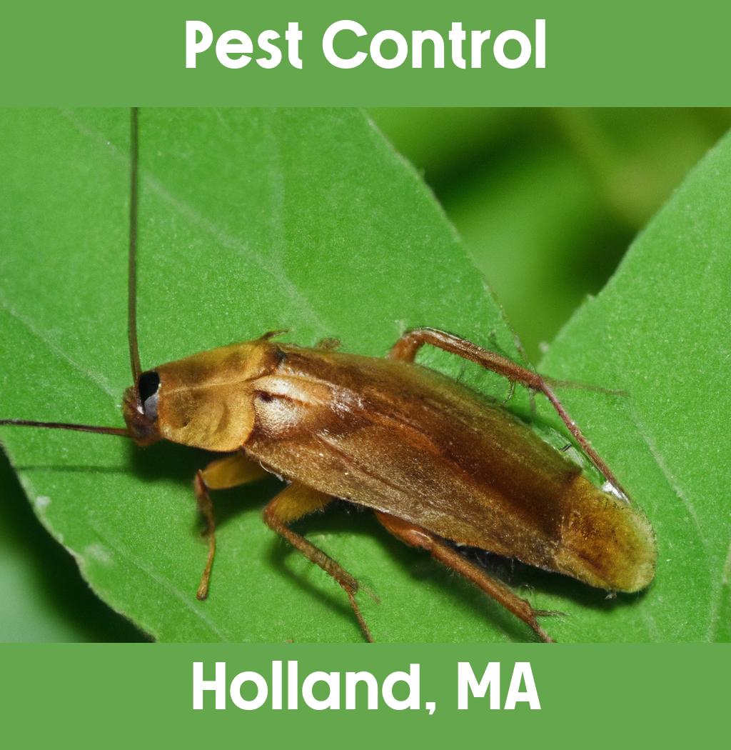 pest control in Holland Massachusetts