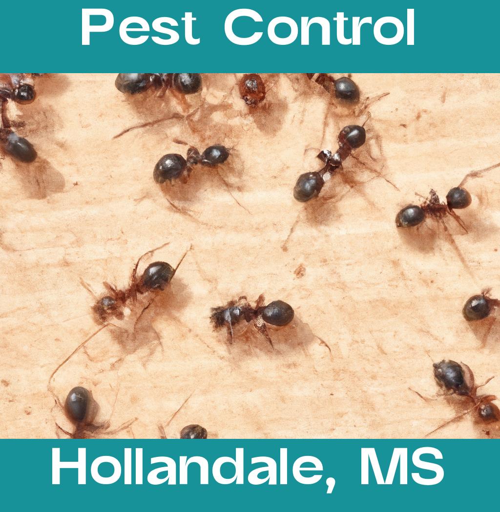 pest control in Hollandale Mississippi