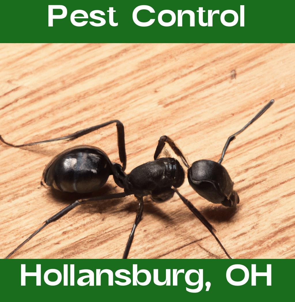 pest control in Hollansburg Ohio